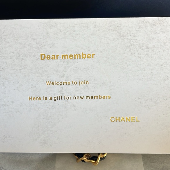 GWP Chanel Makeup  bag - Picture 10 of 16